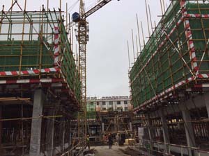 土建脚手架租赁RAS-3